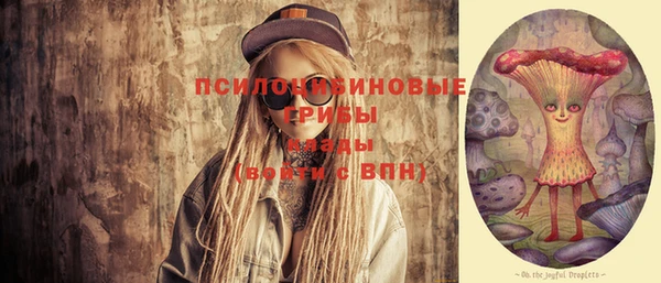 ГАЛЛЮЦИНОГЕННЫЕ ГРИБЫ Снежногорск