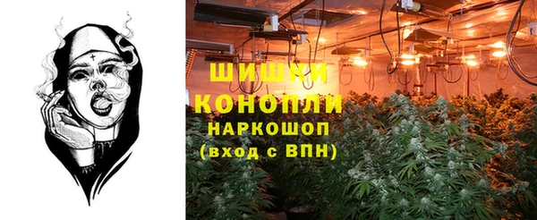 сатива Слюдянка