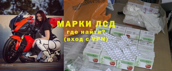 сатива Слюдянка