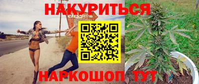 дмт Будённовск