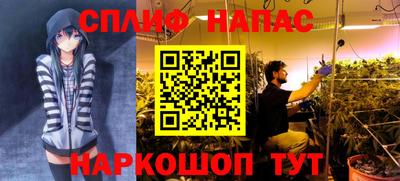 дмт Будённовск