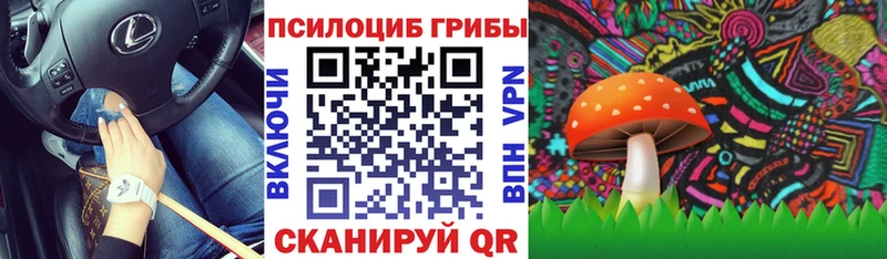 Галлюциногенные грибы GOLDEN TEACHER  где найти   Домодедово 