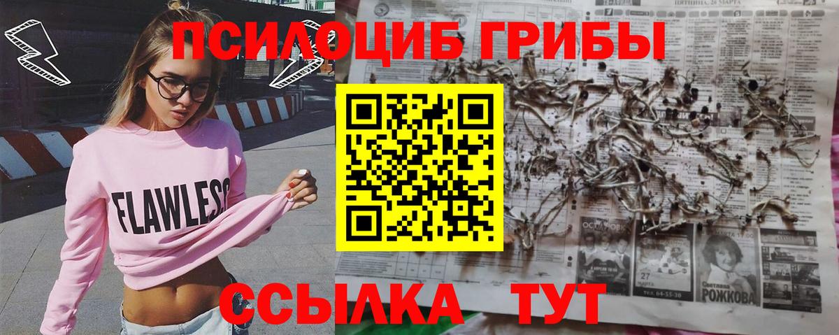 Галлюциногенные грибы мухоморы  Домодедово  Псилоцибиновые грибы Cubensis 