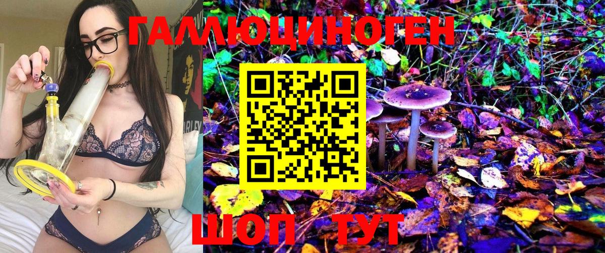 Галлюциногенные грибы MAGIC MUSHROOMS  Вход с VPN  Домодедово  Псилоцибиновые грибы прущие грибы 